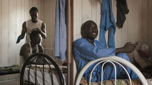 Qatar’s Workers Cup – Die Weltmeisterschaft der Arbeiter Bild 1