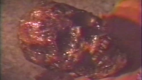 City of the Vampires Bild 4