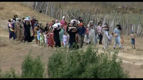 Bled Number One Bild 5