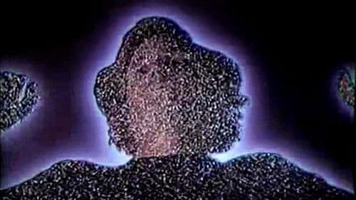 The Transformer Bild 2