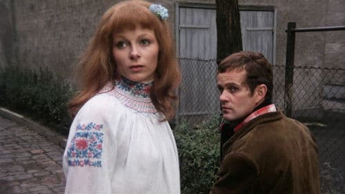 Mosquito der Schänder Bild 1