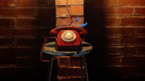 Boy Swallows Universe Bild 6