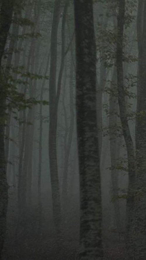 Καταφύγιο II: Το μονοπάτι του πάγου