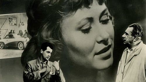 Sie kannten sich alle Bild 1