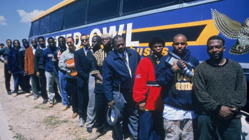 Get on the Bus Bild 7