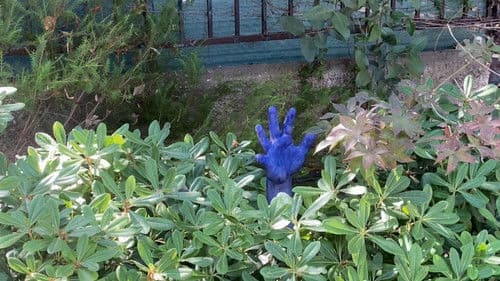 Where Is The Cat's Tail? Bild 5