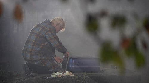 부기나이트 Bild 3