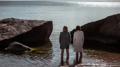 Mädät omenat Bild 2