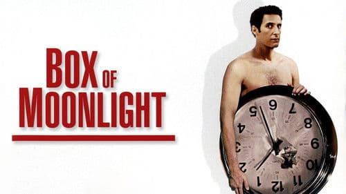 Box of Moonlight Bild 6