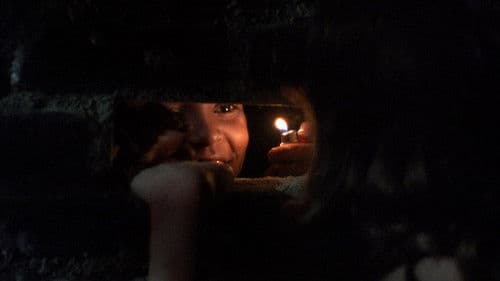 Das Haus der Vergessenen Bild 5