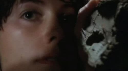 A Força dos Sentidos Bild 1