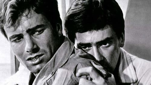 Tag für Tag Verzweiflung Bild 1