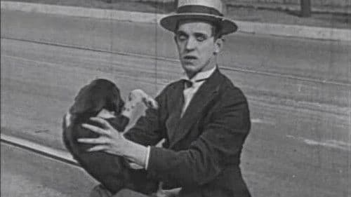 Der glückliche Hund Bild 3