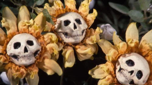 Blood Tea and Red String Bild 5