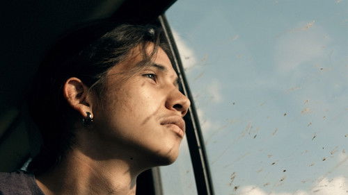 Spira Mirabilis Bild 1