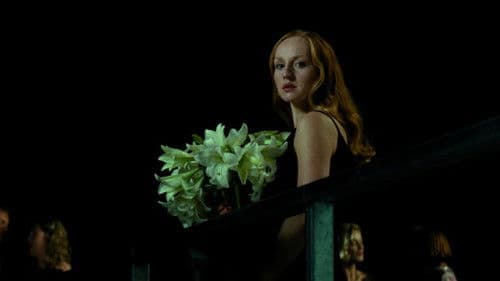 Weisse Lilien Bild 1