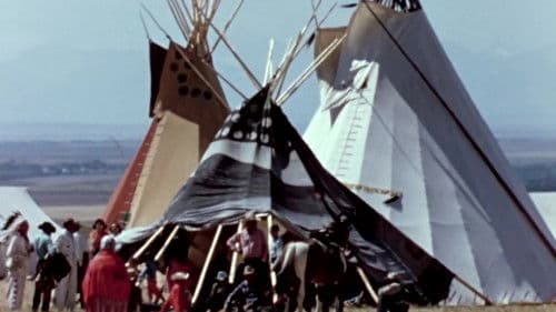 Circle of the Sun Bild 3