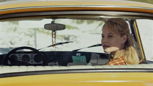 Das Wunder von Kapstadt Bild 3