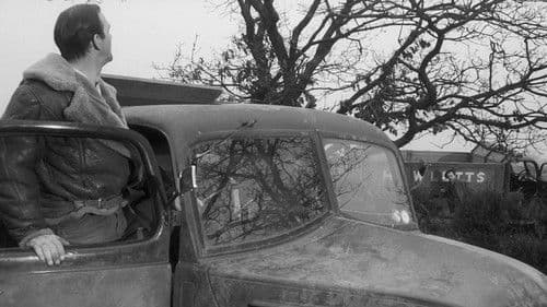 Duell am Steuer Bild 3