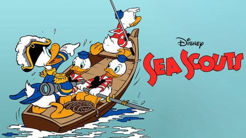 Donald auf großer Fahrt Bild 4