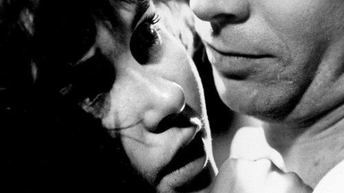 Der geteilte Himmel Bild 7