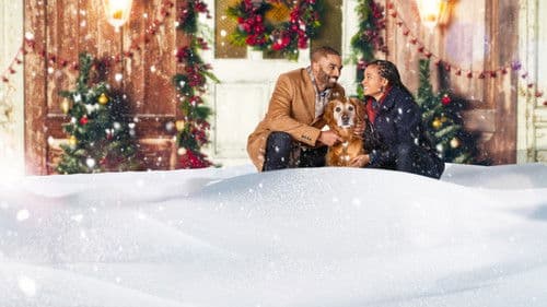 A Christmas Stray Bild 2