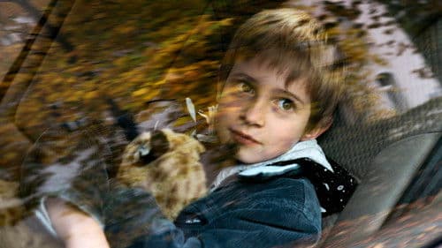 Finsteres Glück Bild 1