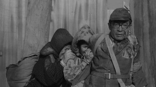 Schwarzer Regen Bild 5