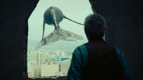 Los versos del olvido Bild 2