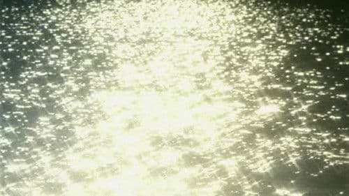 O Território Bild 3