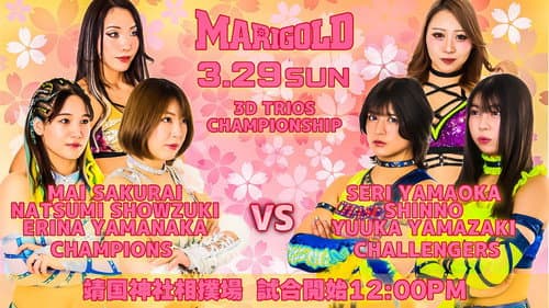 〜高須クリニックpresents〜靖国神社奉納プロレス「マリーゴールド大和神州女祭り」 Bild 1