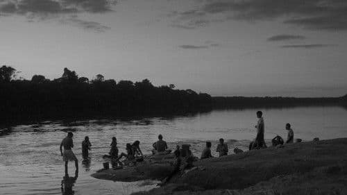 Adieu sauvage Bild 1