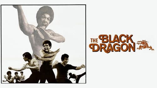 Bruce Lee - Sein tödliches Erbe Bild 1