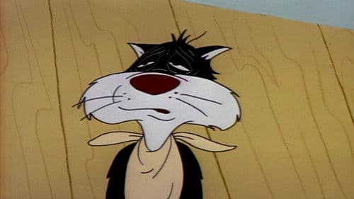 A Kiddies Kitty Bild 2