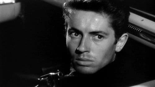 Sie leben bei Nacht Bild 6