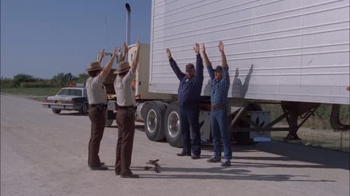 Zwei bärenstarke Typen Bild 6