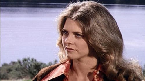 The Bionic Woman Bild 1
