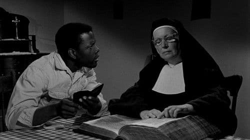 Lilien auf dem Felde Bild 4