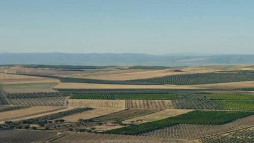 L'Odyssée d'un trésor : Le Trésor de Crésus Bild 2