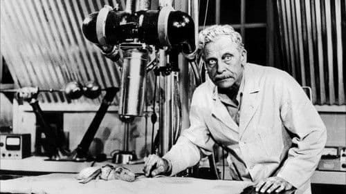 The Amazing Transparent Man Bild 1