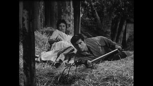 Begierde unter Ulmen Bild 2