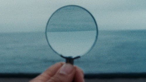 A Metamorfose dos Pássaros Bild 4