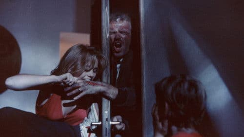 Familienbande Bild 2