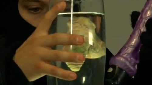 Ellos robaron la picha de Hitler Bild 1