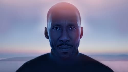 Schwanengesang Bild 1