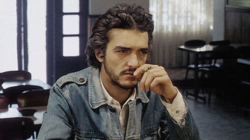 Matar Saudades Bild 3