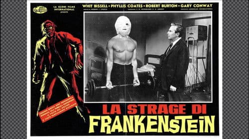 Frankensteins Tod Bild 4