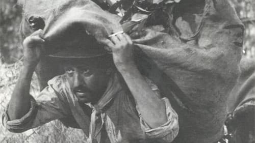 Las aguas bajan turbias Bild 2