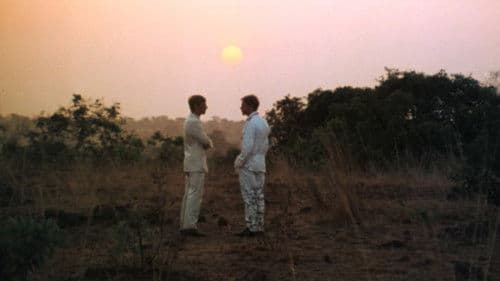 Sehnsucht nach Afrika Bild 3