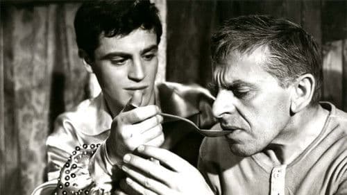 Lidé z maringotek Bild 1